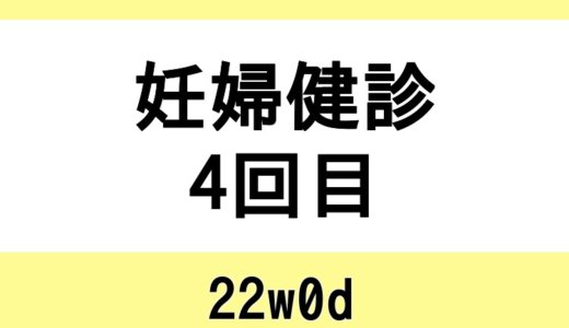 【妊婦健診4回目 / 22w0d】性別判明