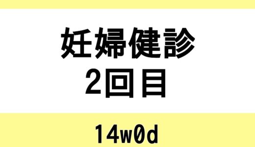 【妊婦健診2回目 / 14w0d】乳首マッサージ